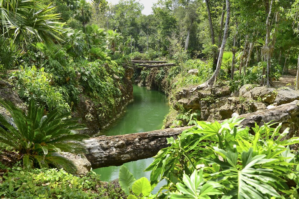 xenotes park riviera maya