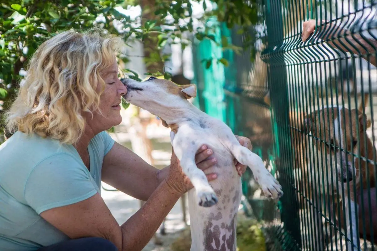 S.O.S. El Arca founder Sylvie Goetz at her dog shelter