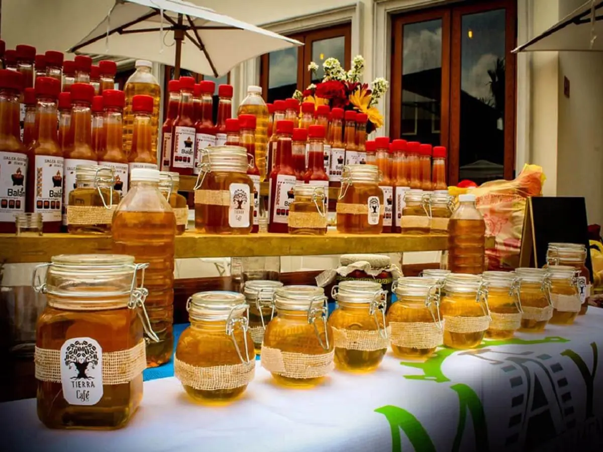 Farmer's Market at El Pueblito Mayakoba in Playa del Carmen