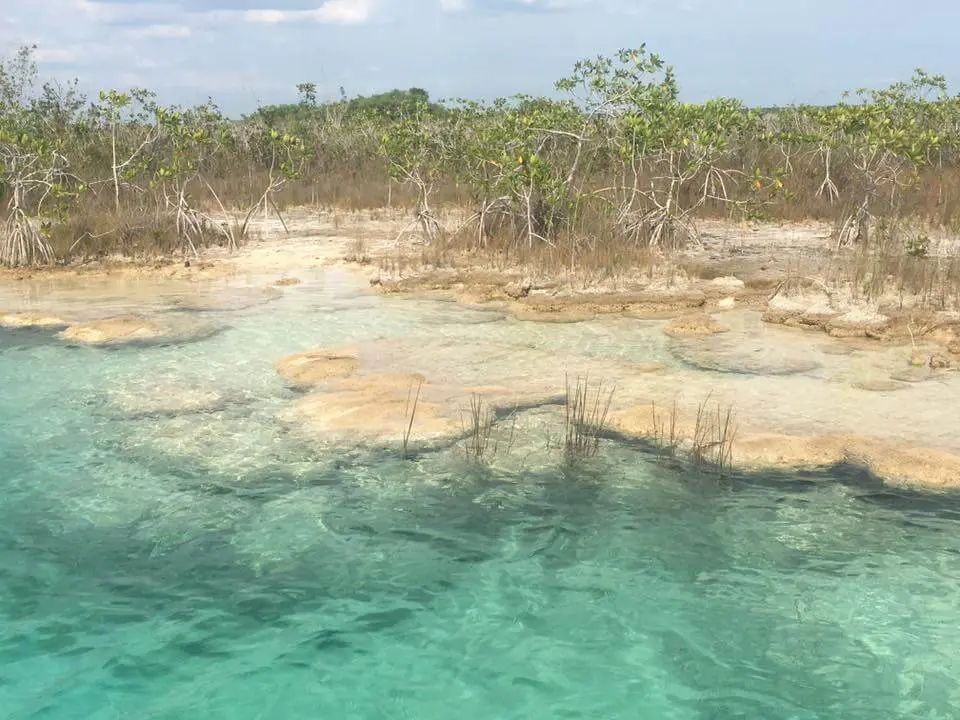 Beautiful Lagoon in Bacalar