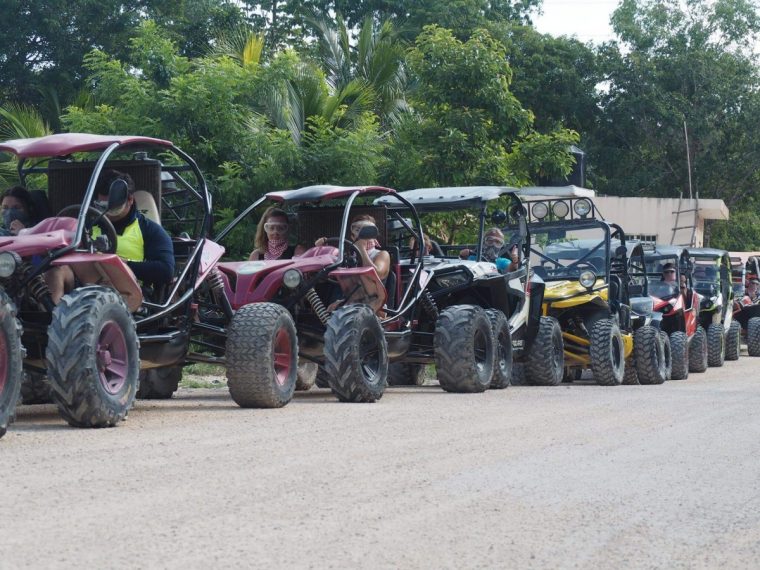 Jungle Buggy