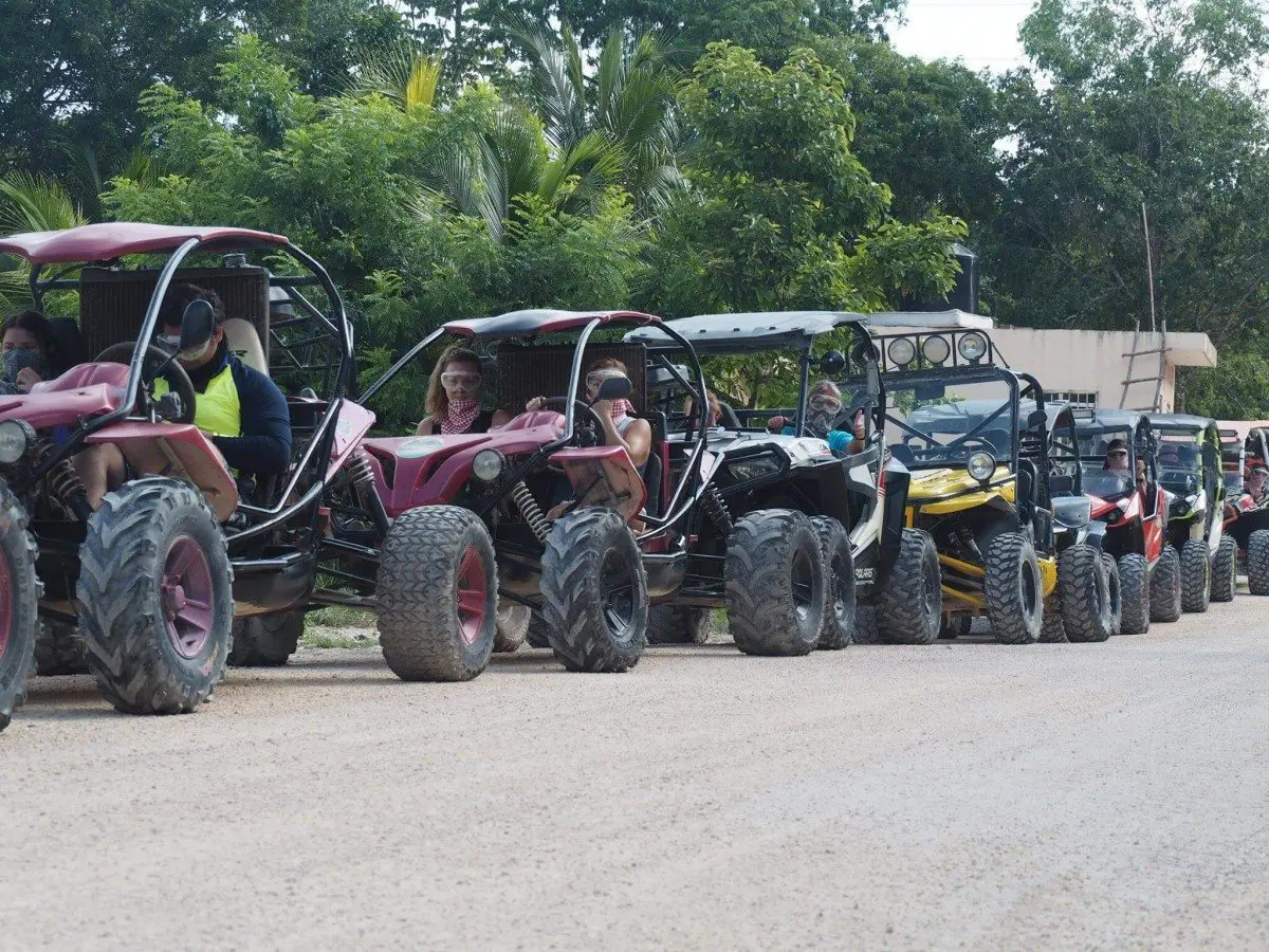 jungle buggy ride