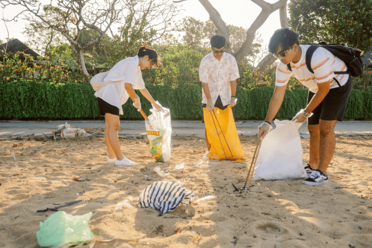 beach clean up