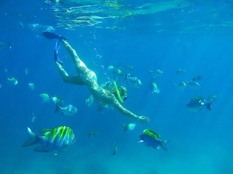 Cancun tours sailing and snorkeling tour 