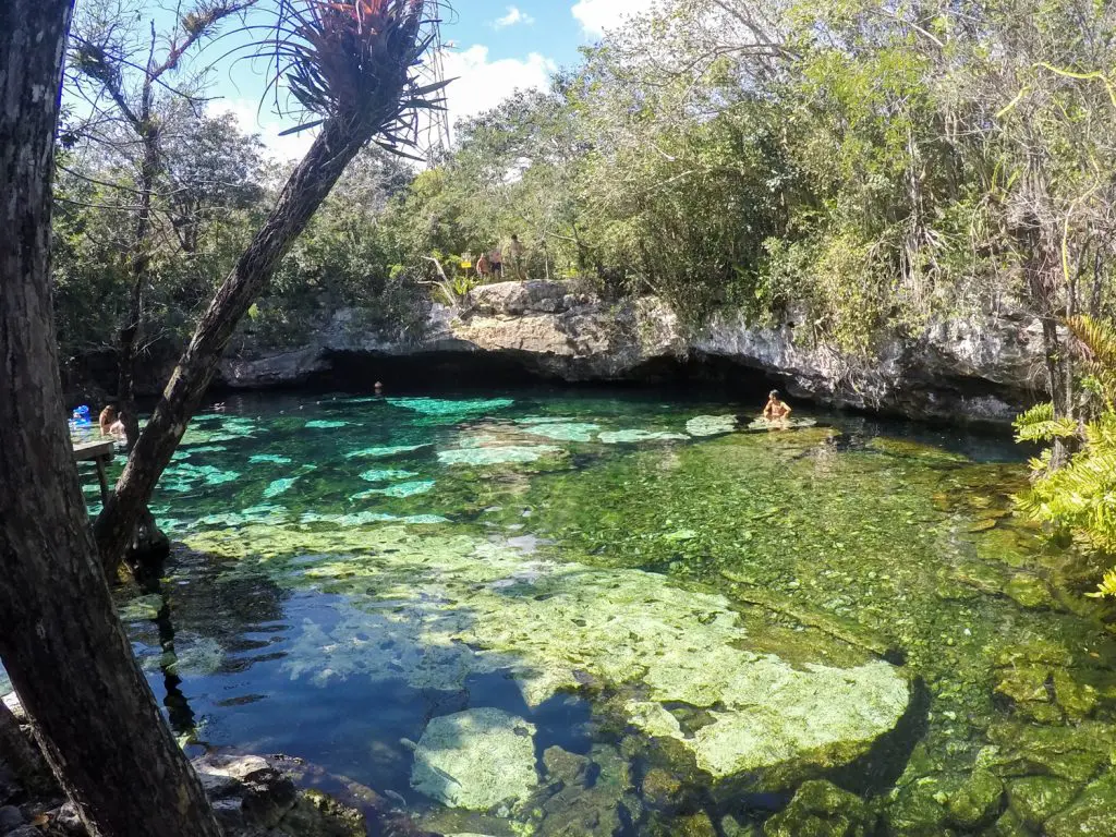 Cenote Azul in Playa del Carmen