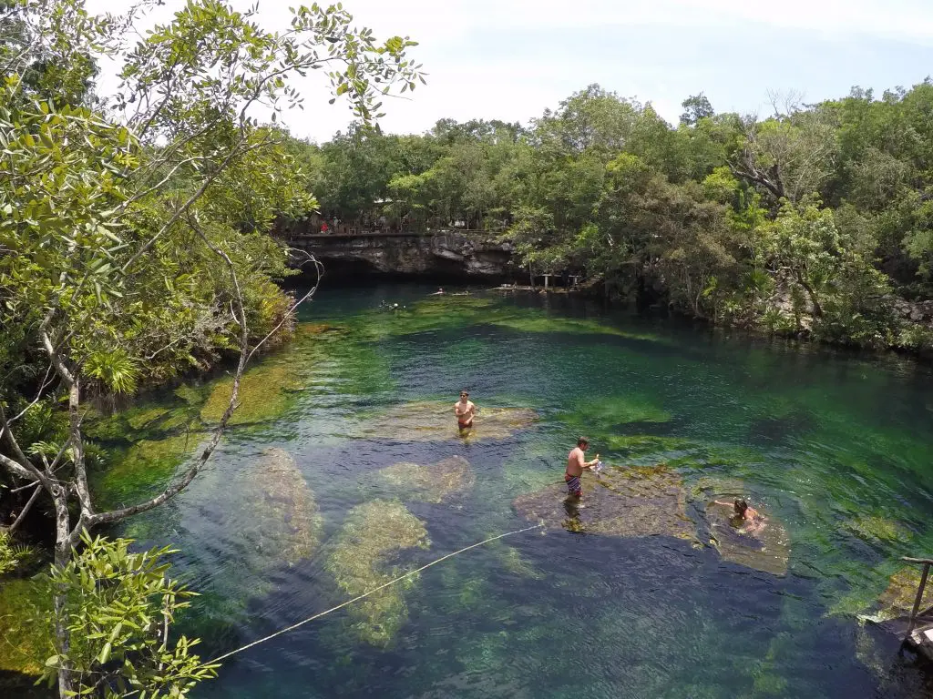 People swimming in Cenote Eden