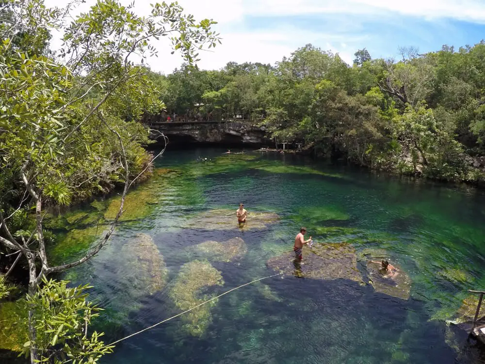 cenote snorkeling garden eden