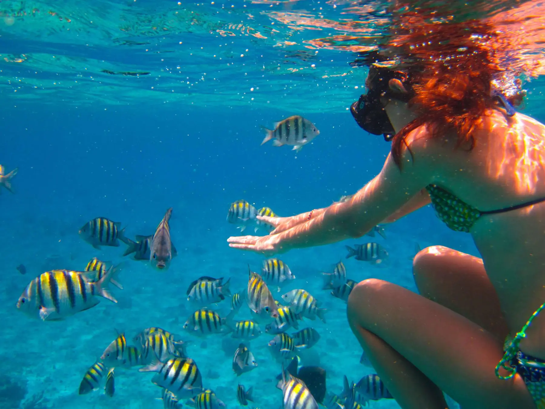 snorkeling in akumal