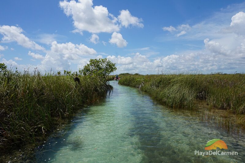 Mangrove channel in Muyil Lagoon located in the Sian Kaan Biosphere, Riviera Maya, Mexico