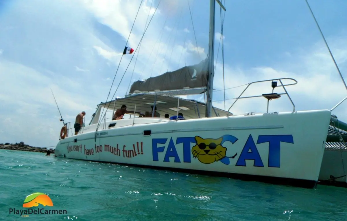 Fat cat boat on sea