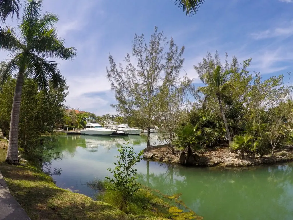 puerto aventuras marina