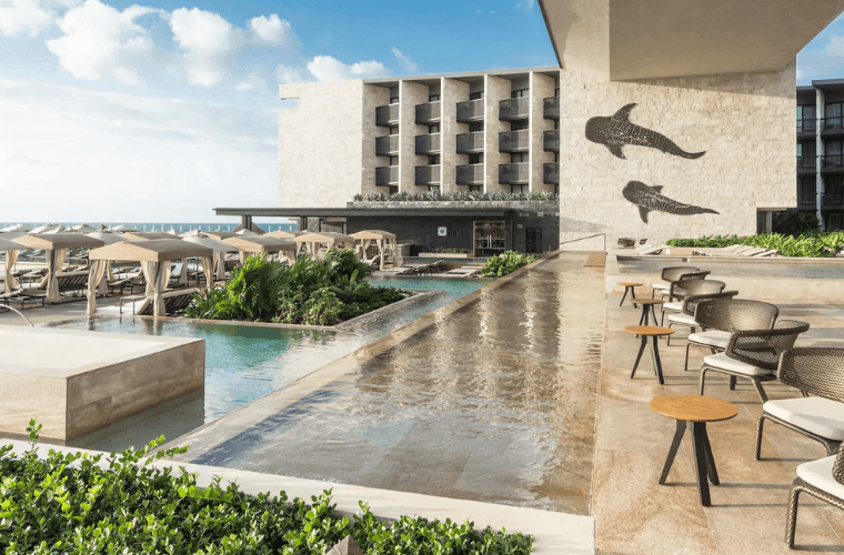 whale shark images on the bridge at Grand Hyatt 