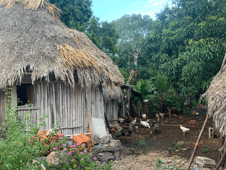 Mayan Village