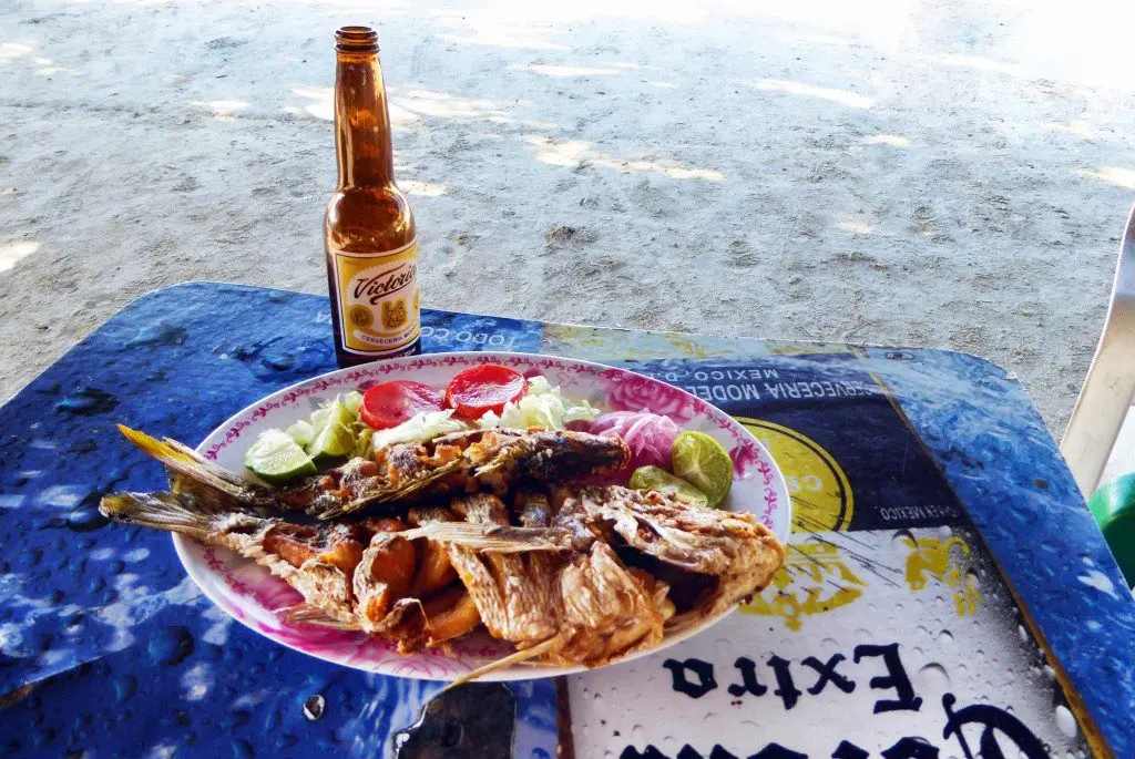 Fish and beer at Rio Lagartos 