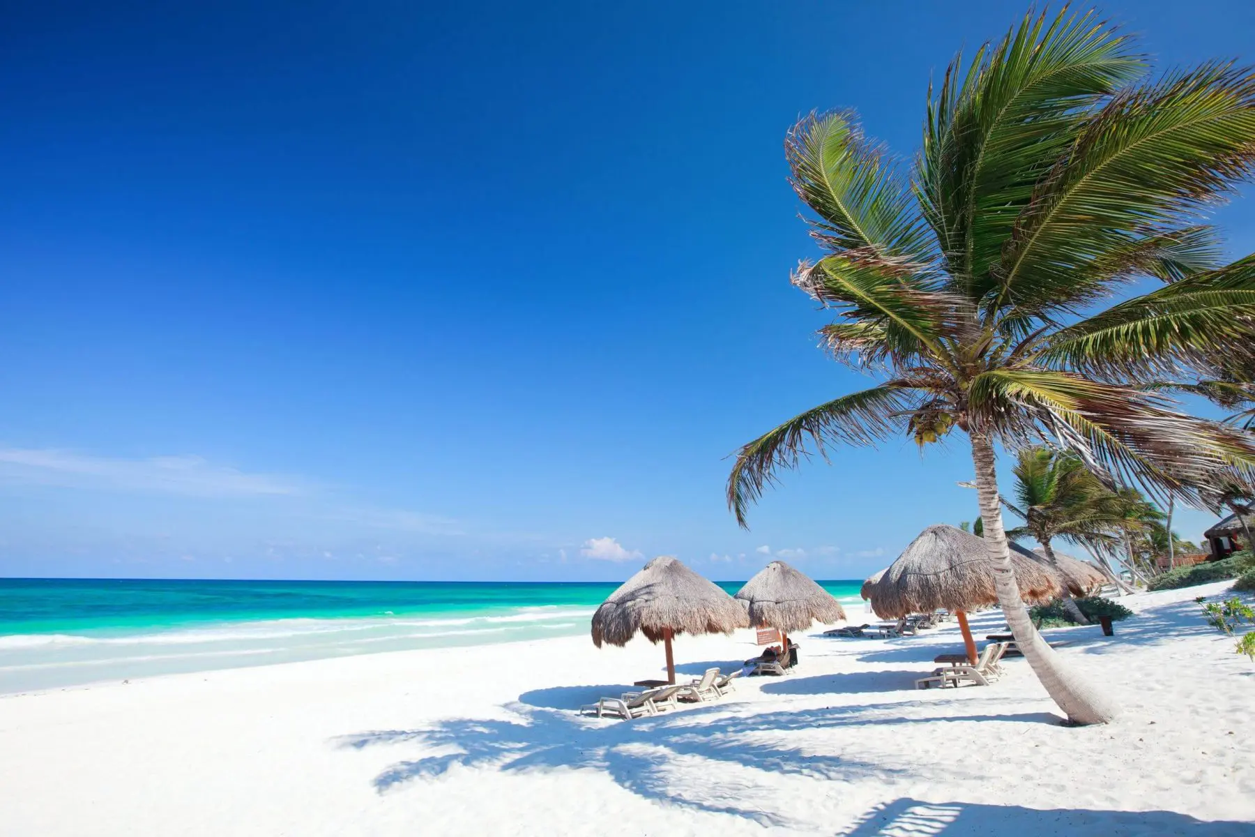 Tulum beach with palm trees