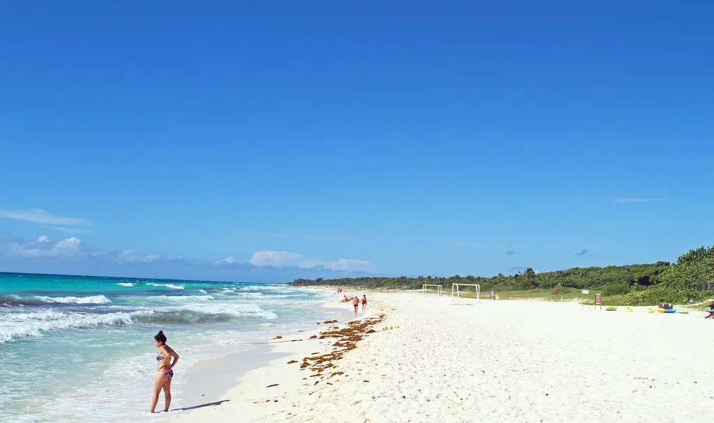 Top 6 Gorgeous Beaches to See in Playa del Carmen.
