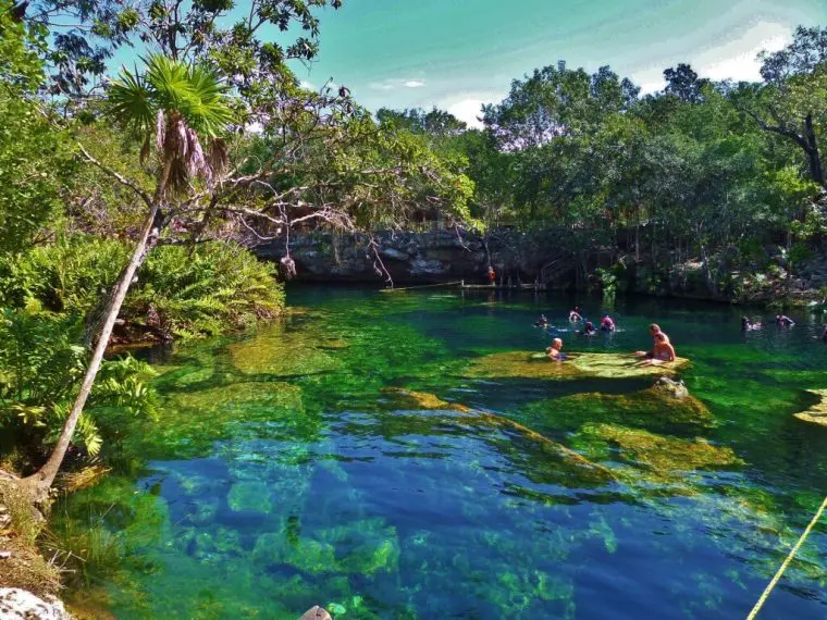 People swimming in cenote in Playa del Carmen
