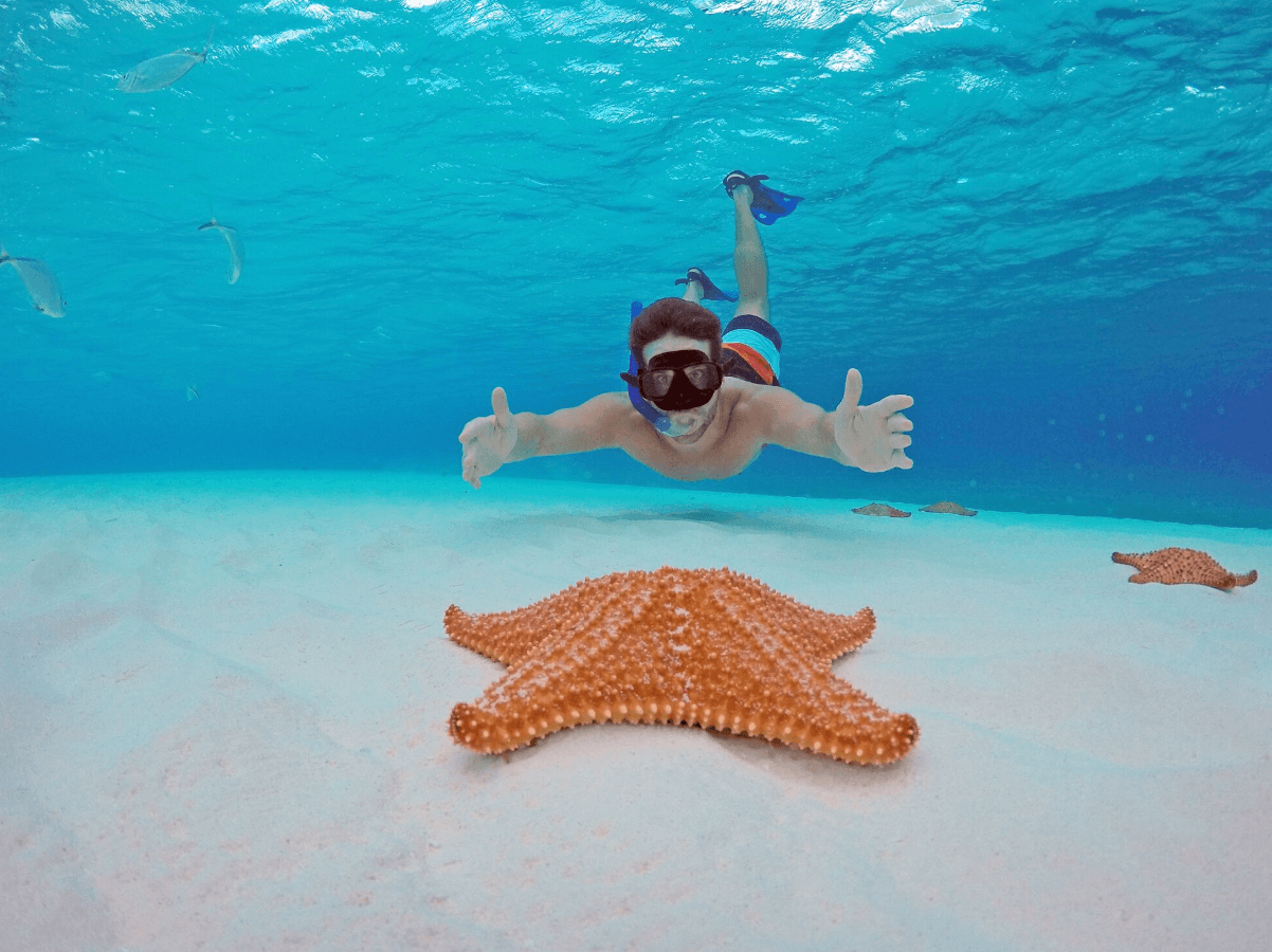 Snorkeling in Cozumel