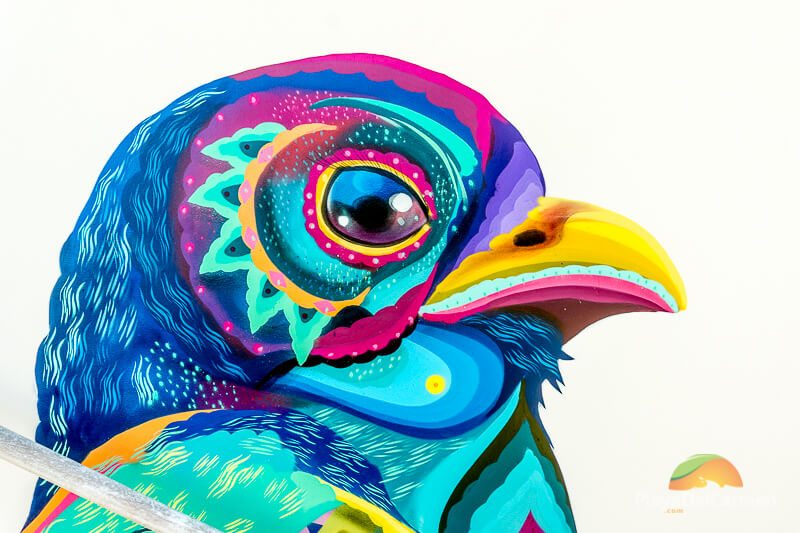 Andaz Mayakoba bird art