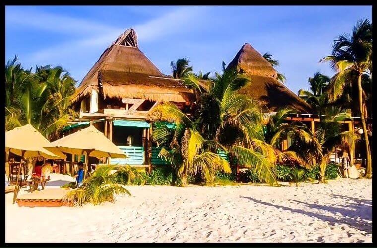 palm trees, white sand, and sunshades at Oceanvs Beach Club 