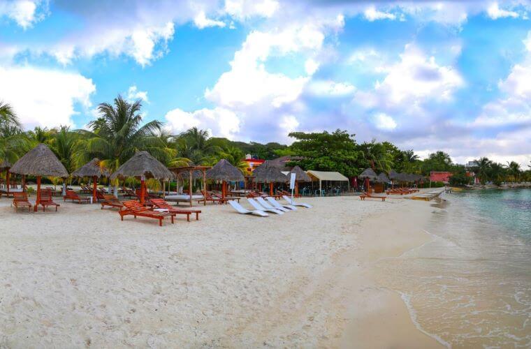 palm trees, white sand, and loungers at Playa Indios Beach Club