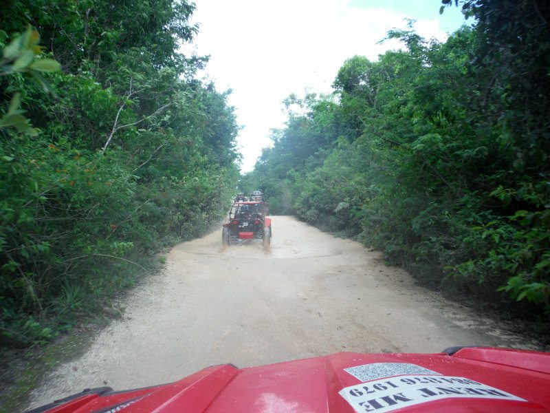 Dune Buggy in jungle with red bikes