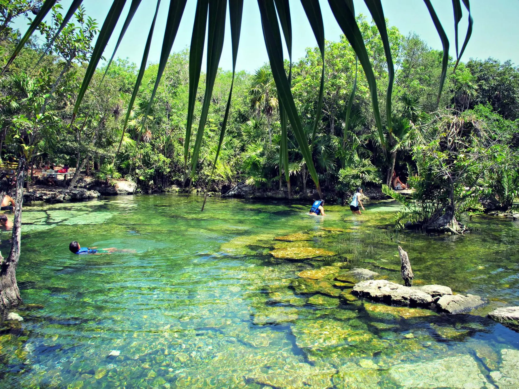 cenote azul 6