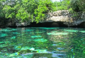 Tulum cenote