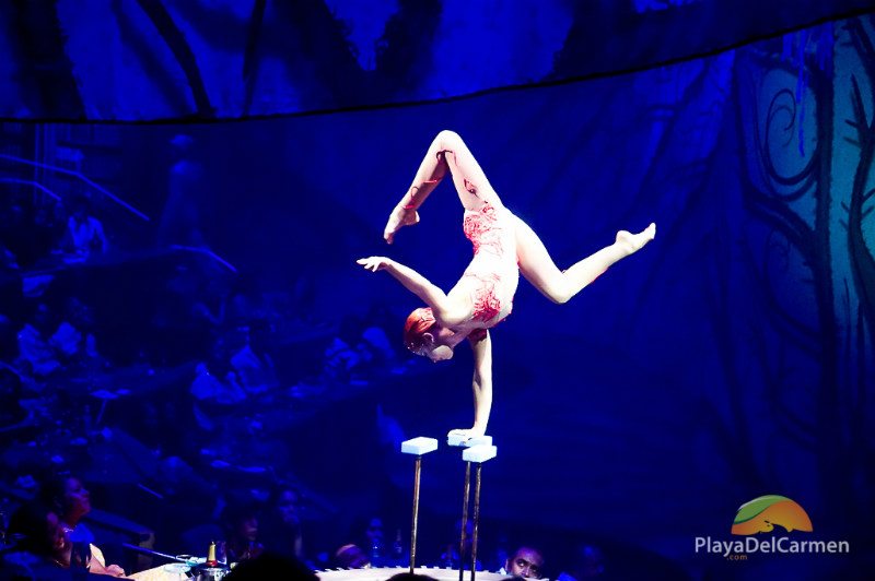 An acobat rests on one hand over a platform at Cirque Du Soleil Riviera Maya