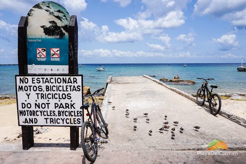 Cozumel Island Caribbean Sea