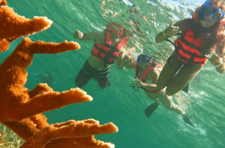 three people snorkeling 
