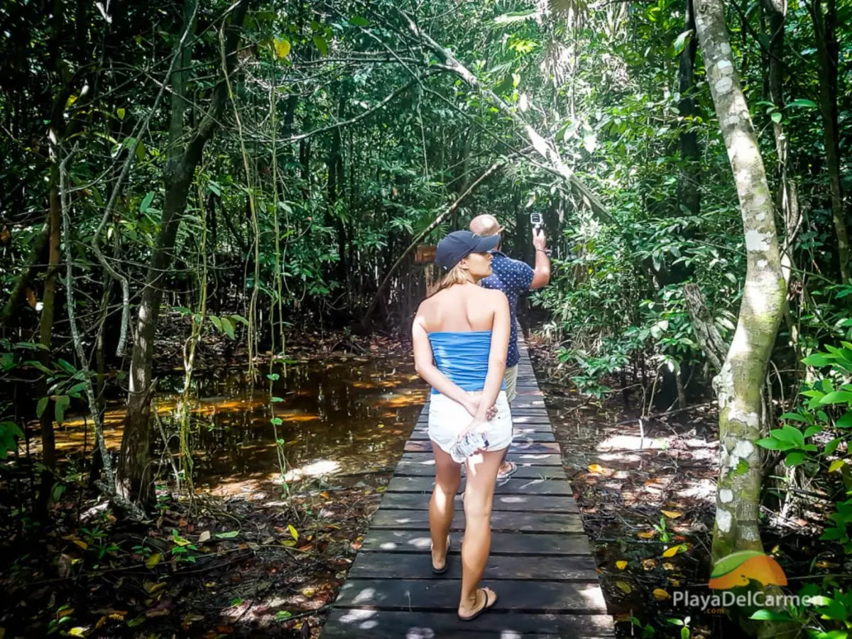 Sian Kaan tour through jungle in Mexico's Riviera Maya