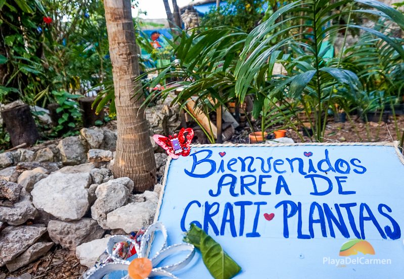 El Jardin de Todas workshop Playa del Carmen