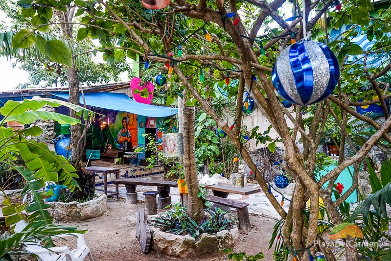 El Jardin de Todas eco-market Playa del Carmen