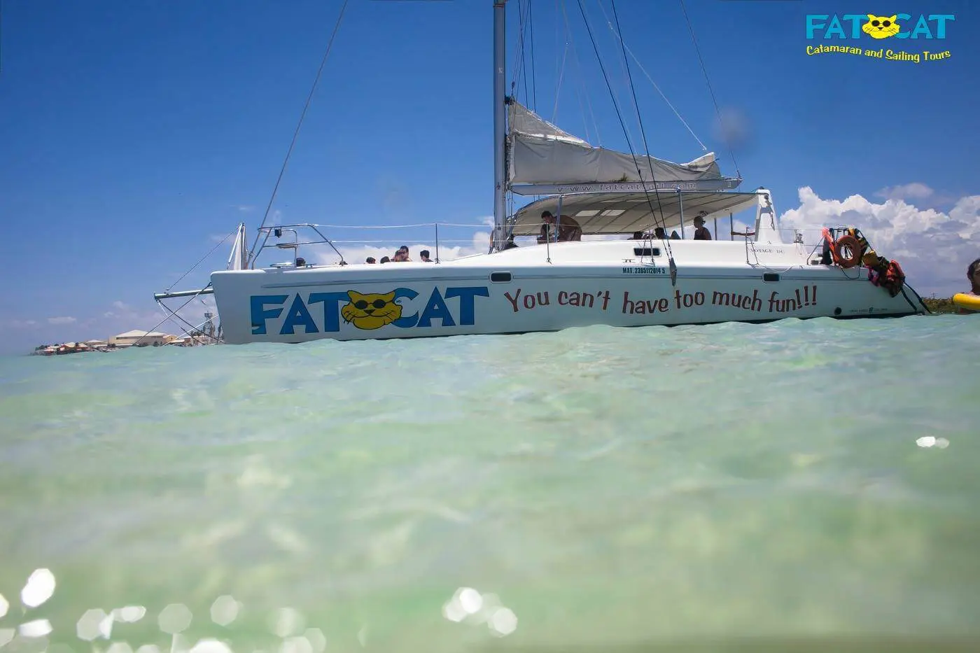 fat cat catamaran photos