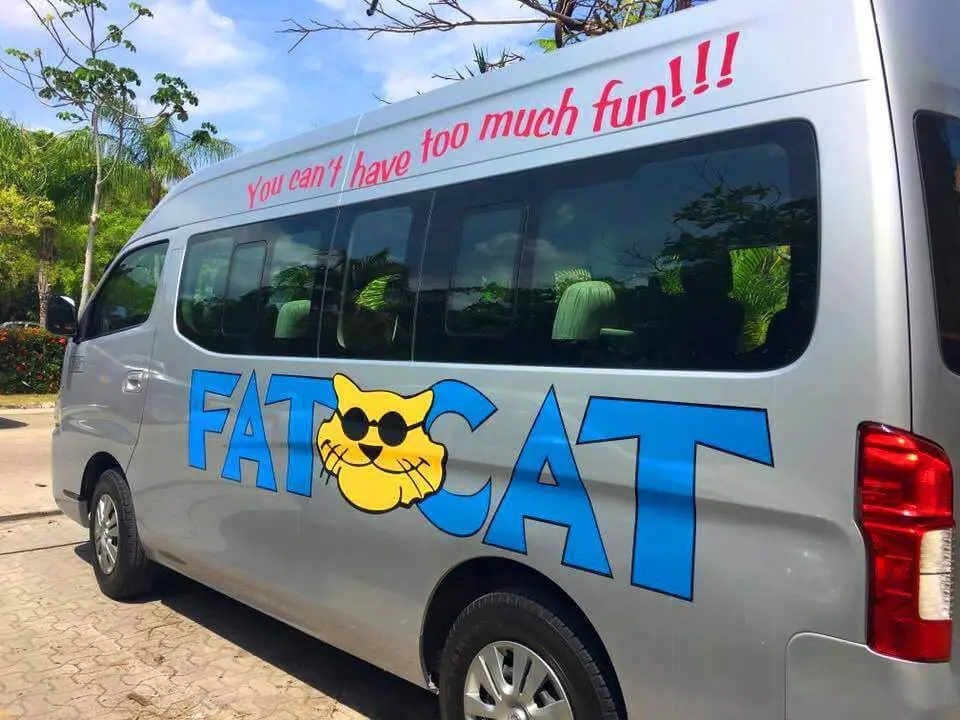 fat cat transport