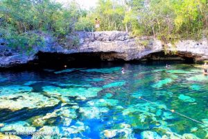 People swimming in clear blue water