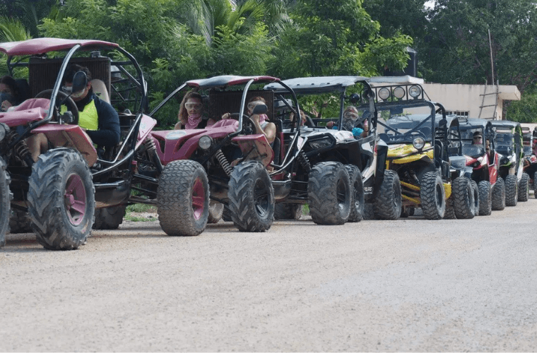 jungle buggy adventure 