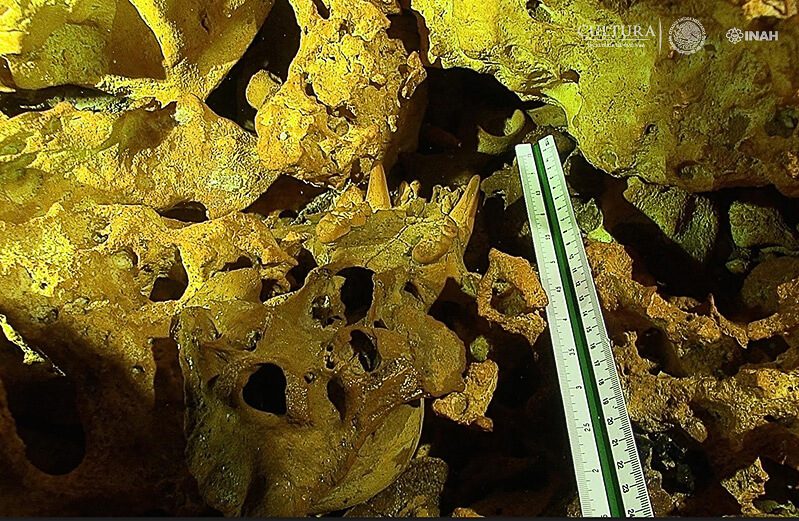 Skeletal remains in an underground cave in the Riviera Maya Mexico