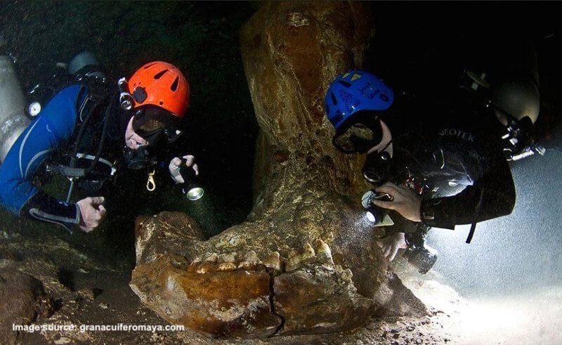 Great Mayan Aquifer Project Discovers Ice Age Remains Near Tulum