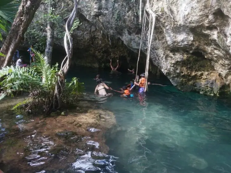 swim at Gran cenote