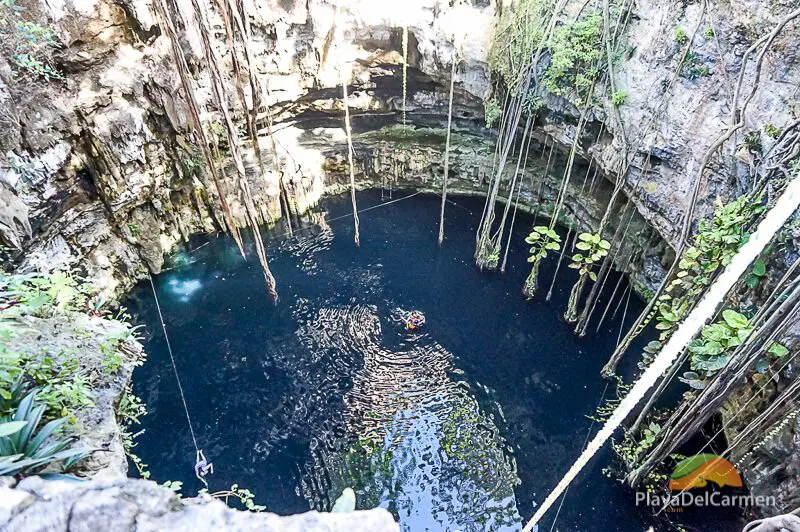 View looking down into an open-air cenote outside of Valladolid, Yucatan