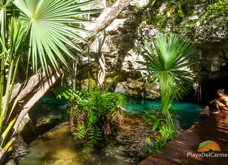 Gran Cenote Tulum