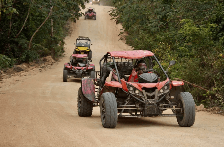 Jungle buggy adventure 