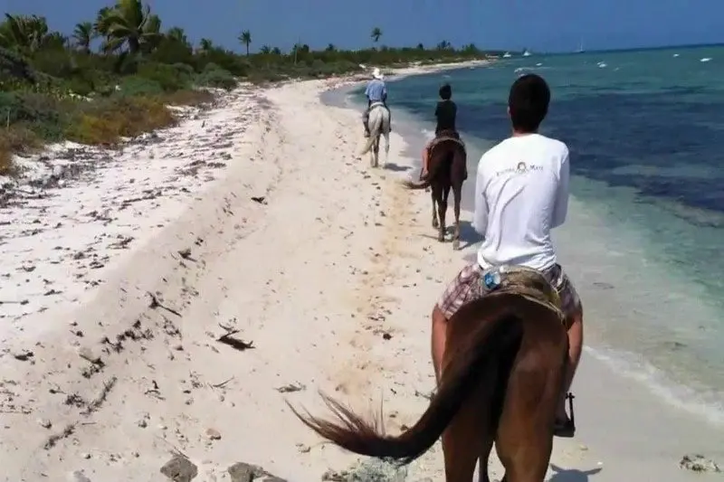 A boy rides his horse on the edge of the Caribbean Sea outside of Playa del Carmen