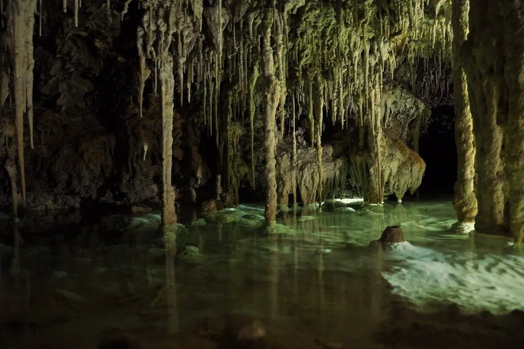 Secret cenote in Playa del carmen