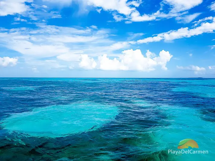 View of the Mesoamerican Reef as seen from a catamaran tour to Isla Contoy