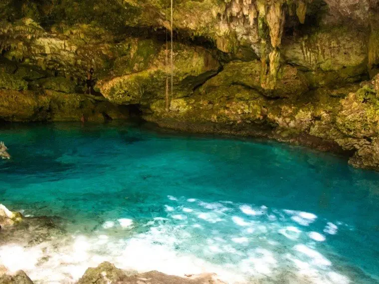 jungle buggy cenote