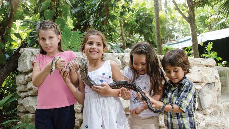 CROCOCUN ZOO kinds with snake