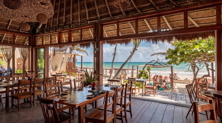 le zebra tulum